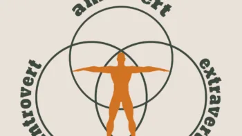 Want to Be Successful? Become an Ambivert.